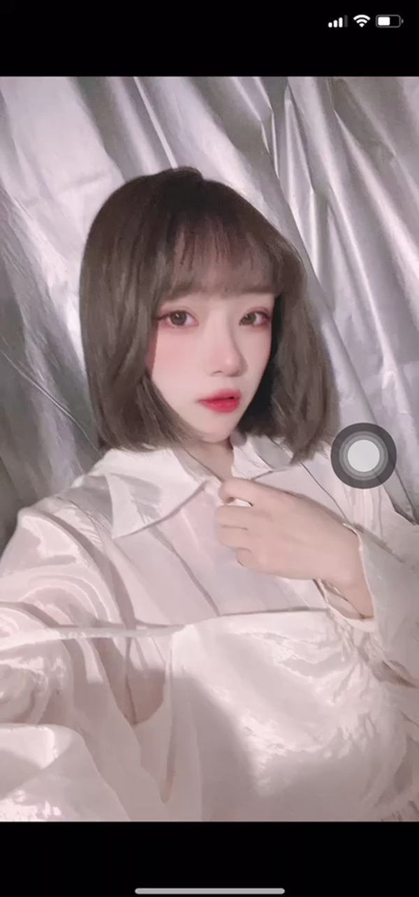 纽约伴游大学生